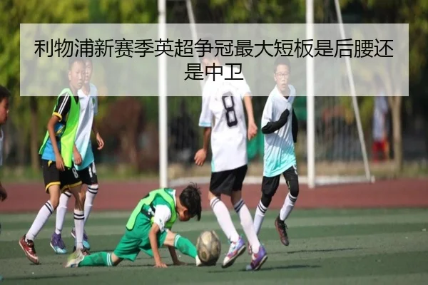 利物浦新赛季英超争冠最大短板是后腰还是中卫