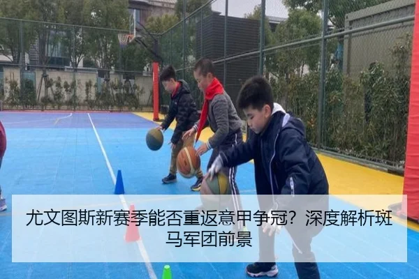尤文图斯新赛季能否重返意甲争冠？深度解析斑马军团前景